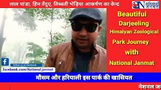 Beautiful Darjeeling Himalyan Zoological Park Journey With National Janmat