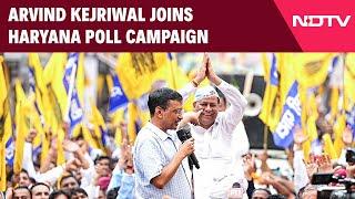 Arvind Kejriwal Haryana Rally | No Govt Can Be Formed In Haryana Without AAP's Support: Kejriwal