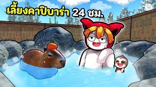 เลี้ยงคาปิบาร่า 24 ชม. | Capybara Evolution Roblox