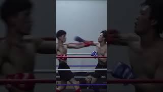 이거 생체 MMA 맞아...?