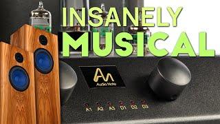 Audio Note Cobra Integrated Amp / AN-J Hemp Speakers Review