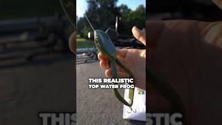 This Frog Lure is INSANE! #fishing