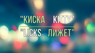 kitty licks!