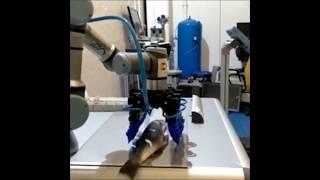 Test di manipolazione di pesce fresco con pinza adattiva SoftRobotics by Tecoma - Vesta Group