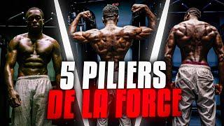 Les 5 PILIERS de la FORCE | Street Workout