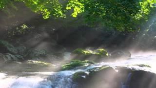 1 hour of Relaxing River Sounds. Ideal for Sleep, Healing or Studying