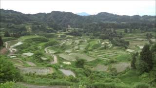 Landscape of Terraced rice field in Niigata,Japan.