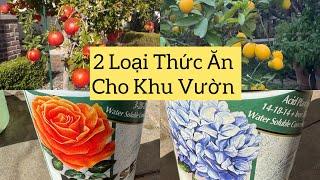 Vlog 896: Mới Biết 2 Loại Thức Ăn Cho Cây Ăn Trái Rau Củ Hoa