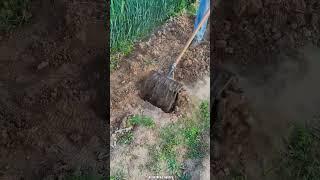 New Farming Hand Tool for Digging Soil #tools #shorts