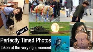 Perfectly Timed Photos | taken at the very right moment | Part 1 | mindlevel360