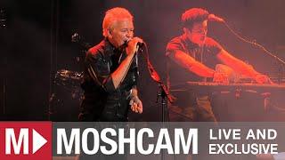 Icehouse - Hey Little Girl   (Live in Sydney) | Moshcam