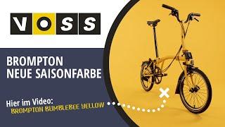 Brompton Saisonfarbe 2023, Bumblebee Yellow + Voss Aktion Bundle [deutsch]