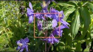 Our 1st Garden Tour | Perennial Garden