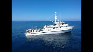 Non-Stop FISHING Action on the Royal Polaris (6 Day Charkbait Charter - combined all Footage)