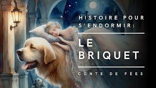 Le Briquet | Conte de fées | Histoire pour s'endormir