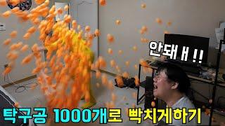 탁구공 1000개로 하루종일 형 빡치게하기ㅋㅋㅋ