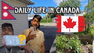 Maple Moments: A Canadian student Daily Life Vlog ! Untiring Avi