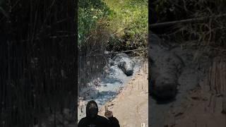Gagal Mancing Gegara Melihat Ini