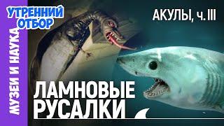 Акулы, ч.3: Загадочные монстры - хранители древних городов, русалки, гоблины, домовые и прочие акулы