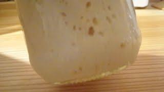 Kako održavati sourdough starter iz hladnjaka??