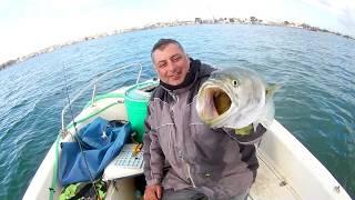 ΜΕ ΤΟ ΔΕΞΙ ΤΟ 2019 - (BIG BLUEFISH FOR 2019)