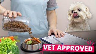 A Vet-Approved Guide to Feeding Your Shih Tzu