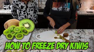 How to Freeze Dry Kiwis