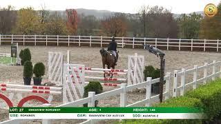 Goresbridge Go for Gold Sale 2022: Lot 1-27 - Showjumping