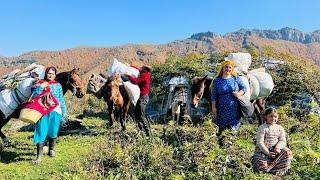 The Great Seasonal Migration of Nomads | From Cold Highlands to Warm Valleys