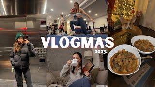 VLOGMAS 2023 Cozy Stew Recipe, Workout, What I'm Reading!!