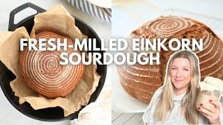 How To Make Einkorn Sourdough with Fresh-Milled Flour