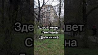 Здесь живет Светлана Дружинина