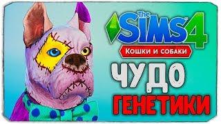 ЧУДО ГЕНЕТИКИ, ЧТО НЕ ТАК С ПЕСИКОМ?! - The Sims 4 "Кошки и Собаки"