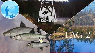 Trophygefahr an Tag 2? - Standalone Turnier | Russian Fishing 4