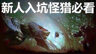 新人入坑怪猎必看！为什么我们这么爱《怪猎 Monster Hunter》【就知道玩游戏12】