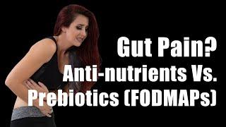 Gut Pain? Antinutrients vs  Prebiotics FODMAPS (700 Calorie Meals, DiTuro Productions, LLC)