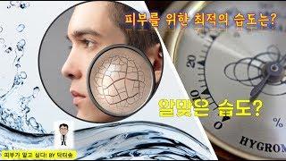 피부를위한 최적의습도/최적의 습도환경/건강한피부를위한 이상적인습도