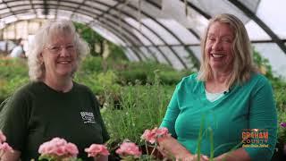 Native Azalea Talk: Tips, Tricks, Propagation, and Maintenance