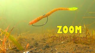 Zoom Trick Worm Underwater Footage!