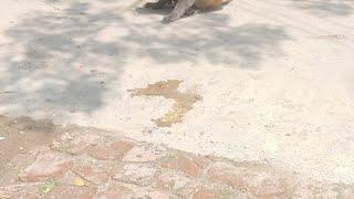 @masti video2️, comedy ,#shorts, masti video#youtube video, #comedu shorts video#youtube comedy