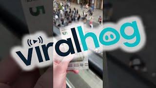 Free Money Falls in Berlin Mall || ViralHog