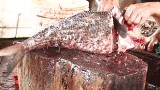 Amazing Skeil Fish Cutting