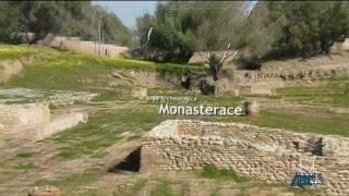 TELEMIA LIVE | RADICI A TORRE DI RUGGERO