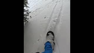 Shredding powder at Vail #powderdays #skiresort #snowboarding #vailcolorado #foryou #shorts #viral