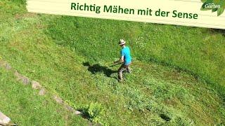 Sanftes Mähen mit der Sense | MDR Garten | MDR