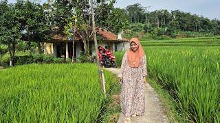 SUASANA KAMPUNG YANG BIKIN BETAH, KUMPUL NGOBROL, MAIN AIR DI SUNGAI, MENIKMATI PEMANDANGAN SAWAH