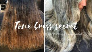 How To Tone Hair (CHEAP EASY SECRET)