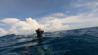 Miami Deep Freediving  SpearFishing ( NO FISH )