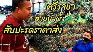 สับปะรด​ราคาส่งถูกจริงๆ​/ผลไม้​ราคาส่ง​/Yutthapong​ chanal​กิน​เที่ยว​เล่น​