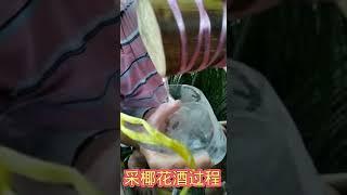 采椰花酒过程